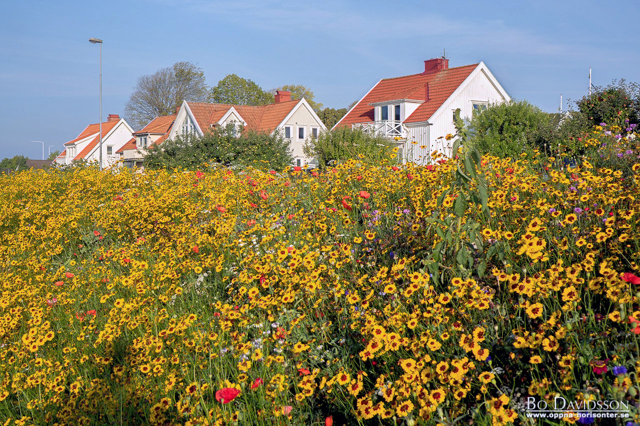 Kungälvskalendern